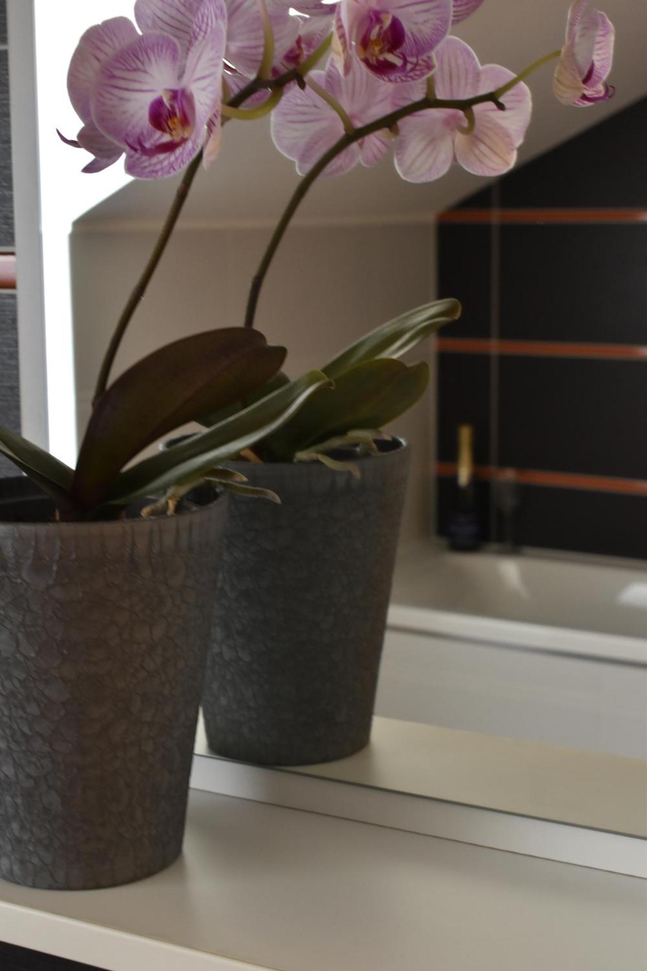 Apartments Verona 카를로비바리 외부 사진